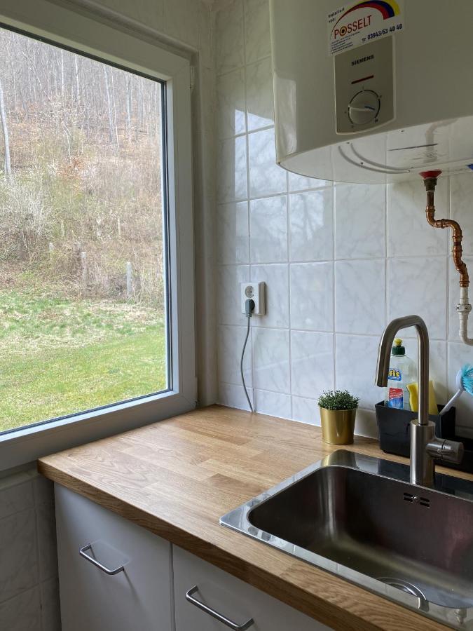 Ferienhaus "Am Reiterhof" Villa Wernigerode Bagian luar foto